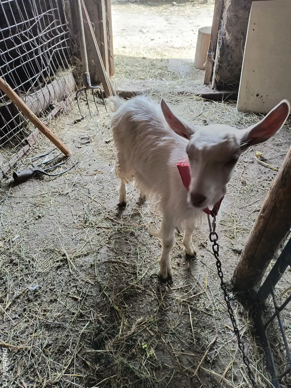 vand ce se vede in poza 