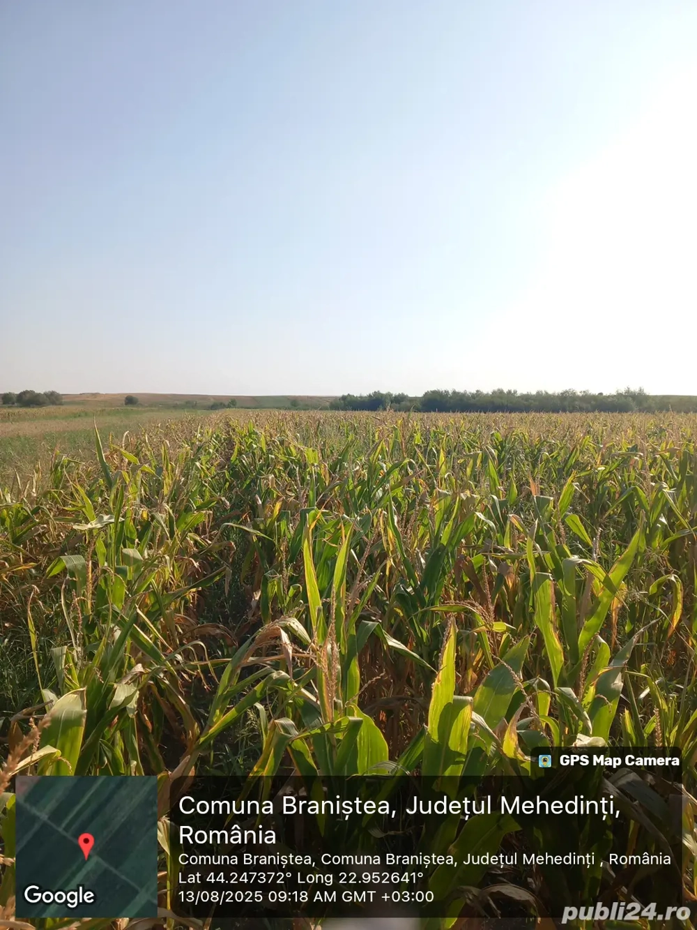 Vînd teren arabil extravilan!