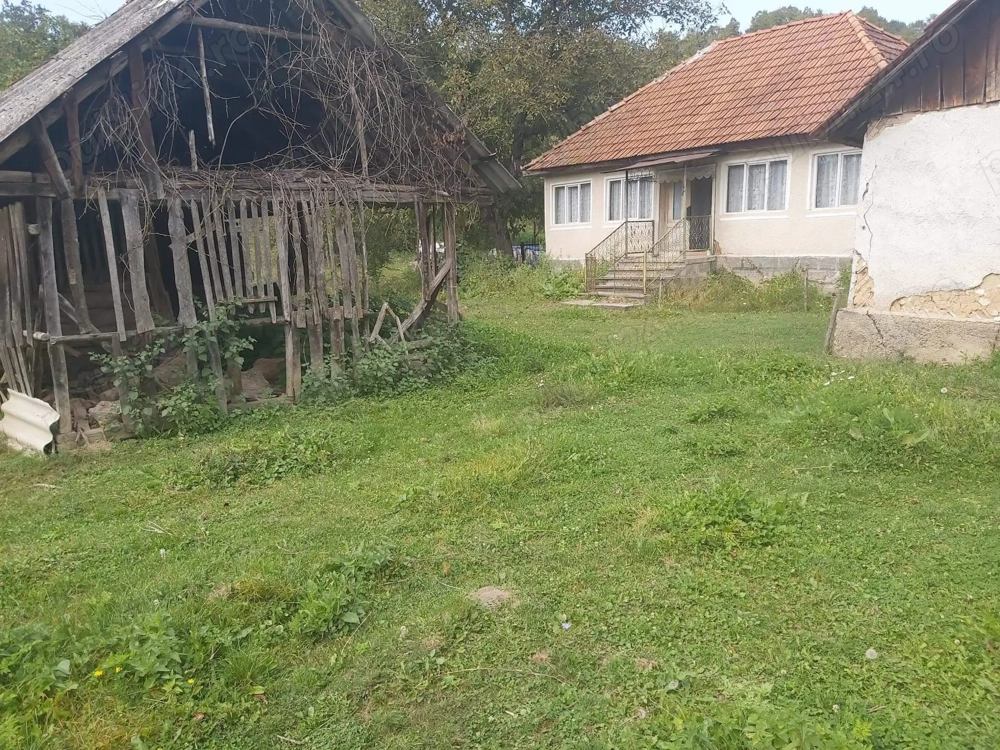 Vand casa si gradina