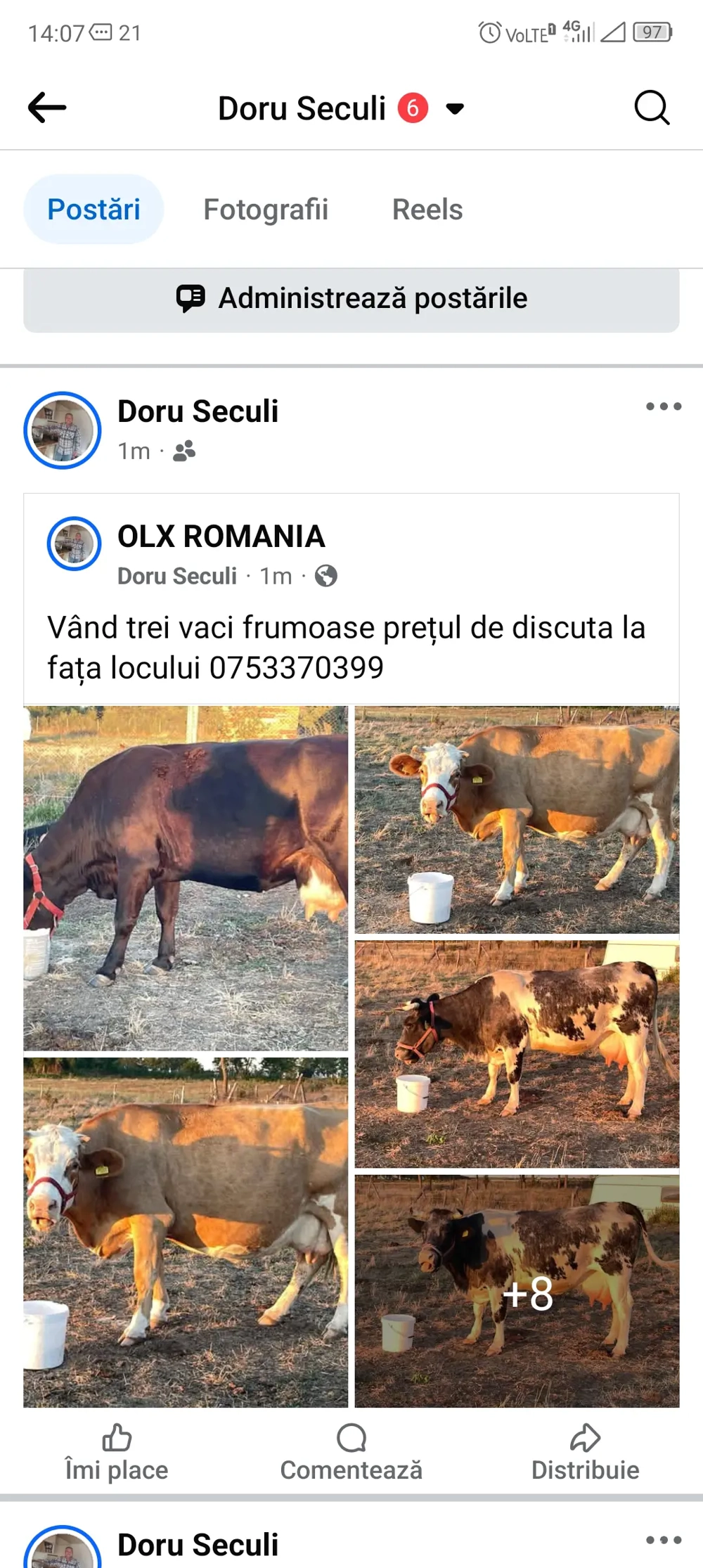 vand vaci frumoase prețul il discutam la fata locului negociabil 