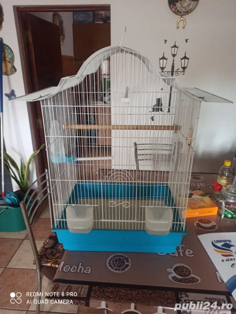 vind colivie pasari ,pt papagali perusi ,destul de incapatoare ,di papagali de talie mare,Marele Ale