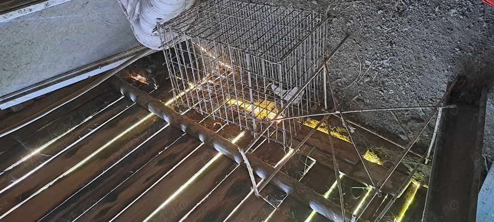 Cuști pentru iepuri 