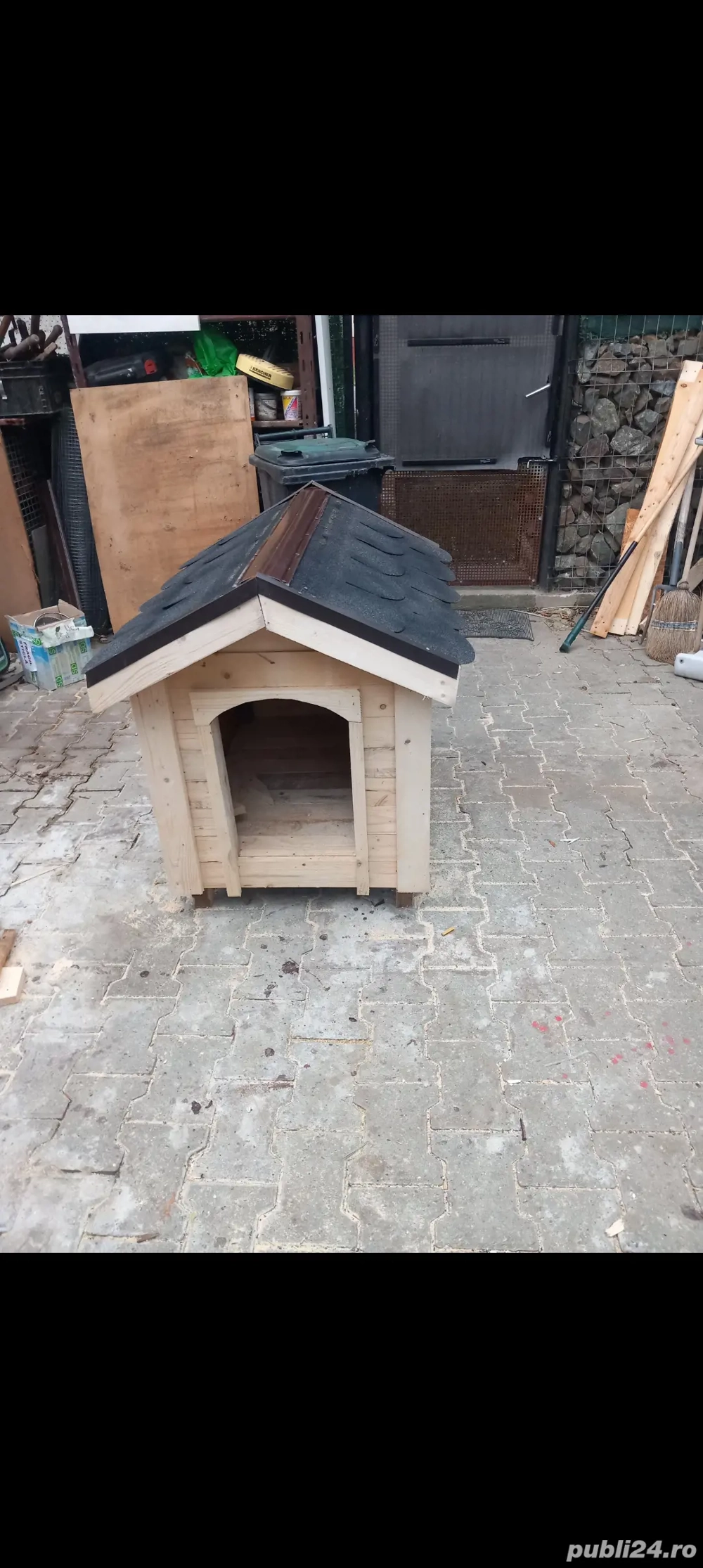 cusca caine cusca caine