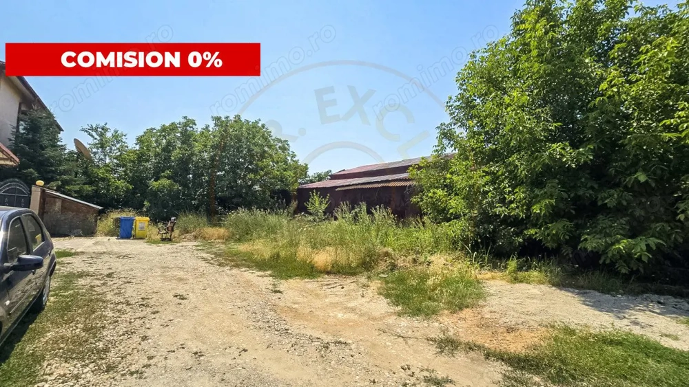 Teren mihai viteazul voluntari