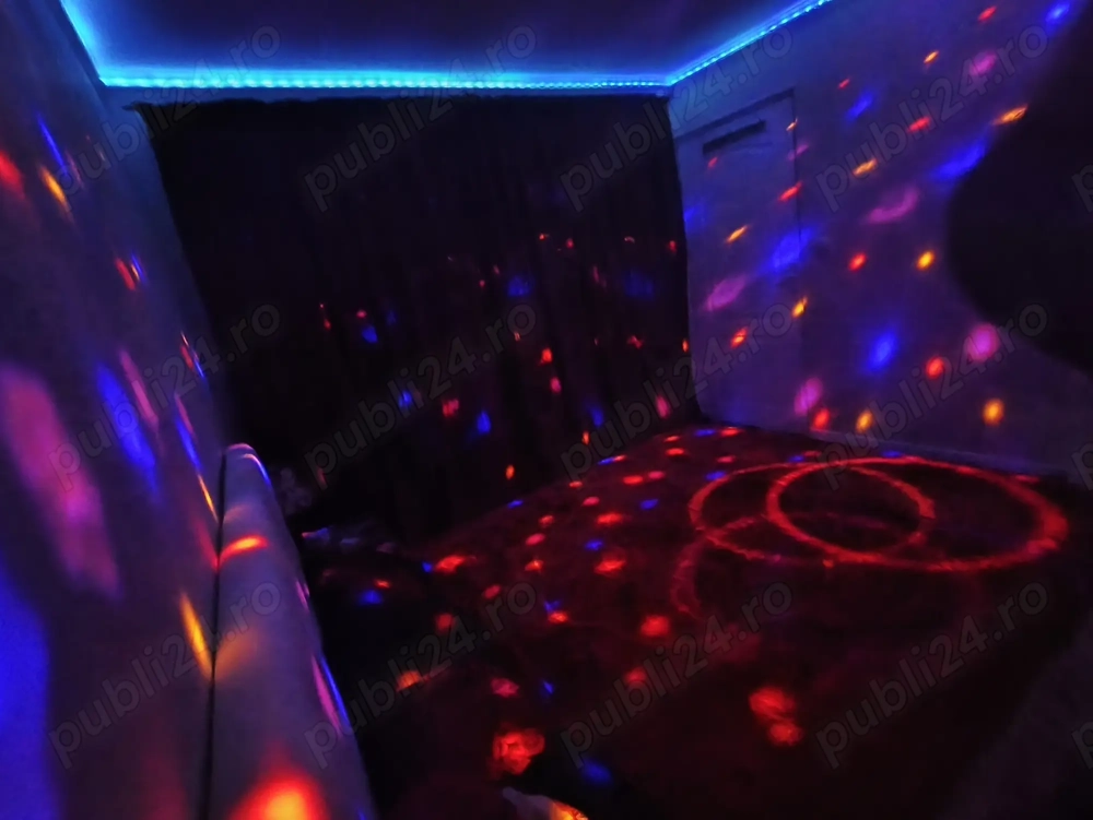 Caut o fată care să locuiască cu mine gratuit.