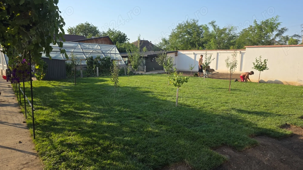 Angajam muncitori spații verzi