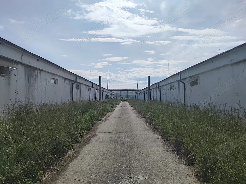 Hale pentru depozitare sau productie, teren aferent, vanzare sau inchiriere.