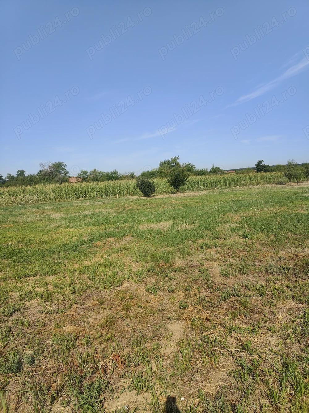 Teren intravilan Șauaieu 