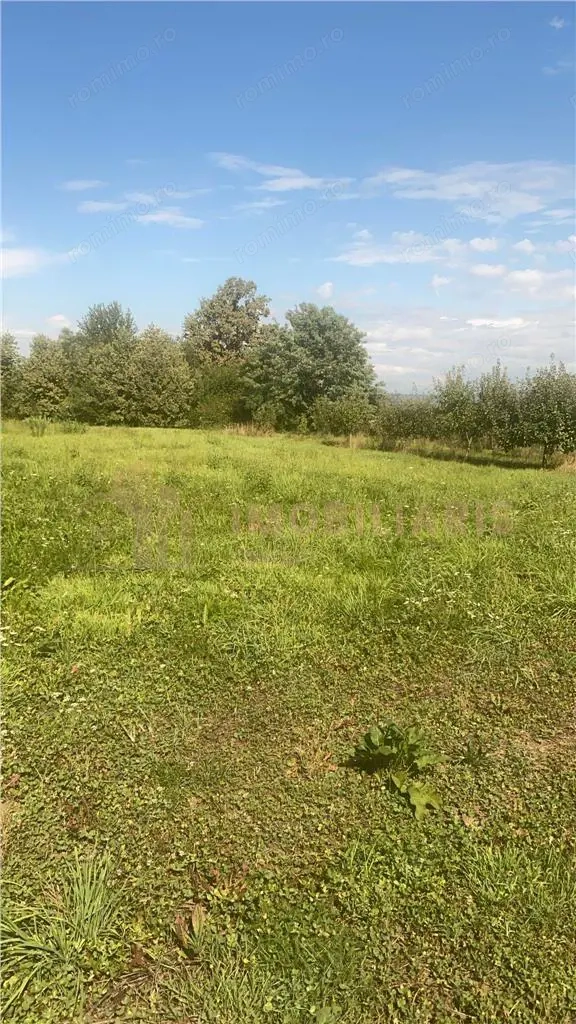 Teren intravilan 80 ari cu posibilitate de parcelare, Ardusat