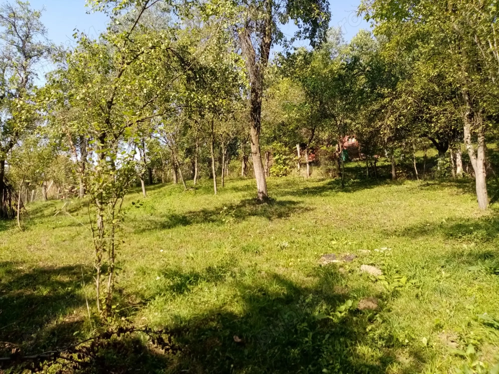 Teren intravilan Comuna Adunati ( Breaza, Prahova