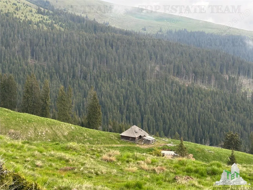 SUPER OPORTUNITATE, DE VANZARE O PROPRIETATE SPECIALA, MUNTELE VARFUL GROAPELE , 101 HA TEREN, PADUR