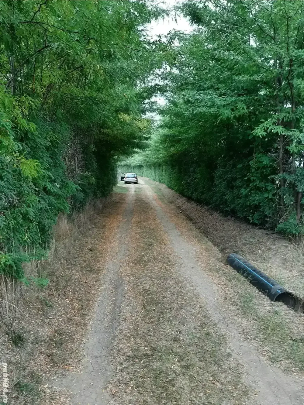 Teren str Casa Apelor