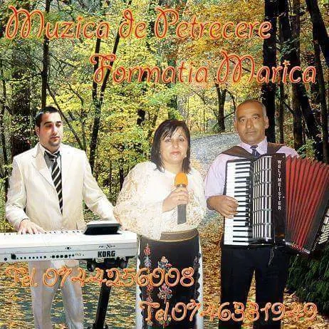 Lautari, Formație evenimente 