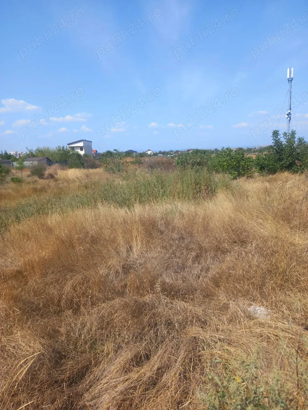 Teren cartier Brosteni-Buzau