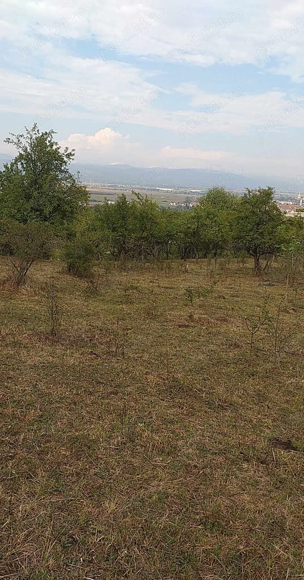 vanzare teren intravilan 