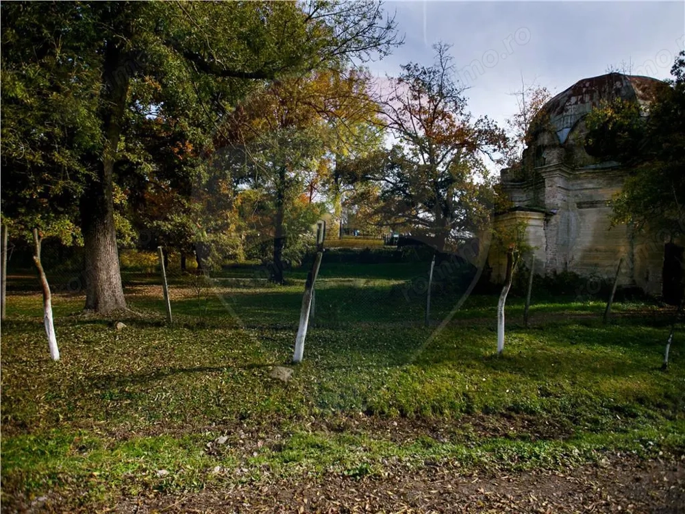 Domeniu Baronial de vanzare in localitatea CIL , Judet Arad