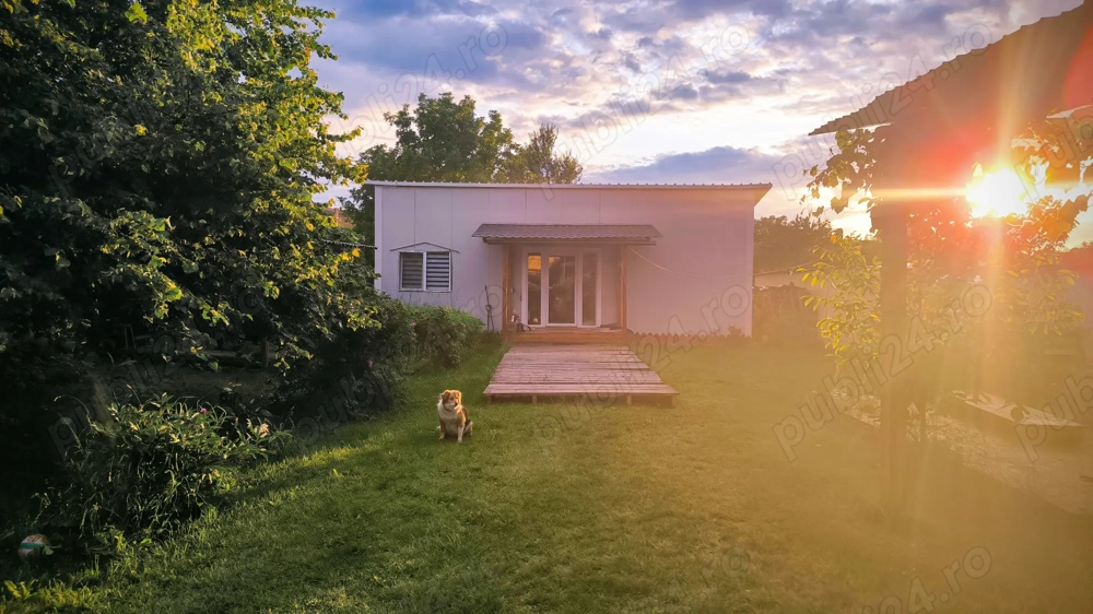 Unique Investment Opportunity   Central Prejmer Property with Orchard 