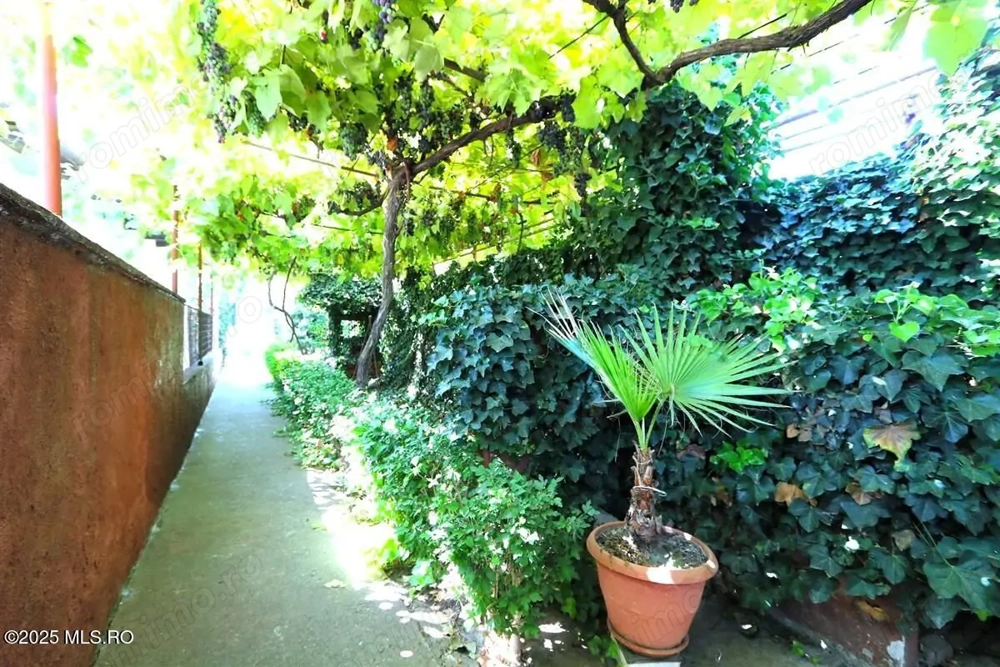 Palazu Mare - Strada Gheorghe Baritiu 16, casa cu teren de 680 mp!