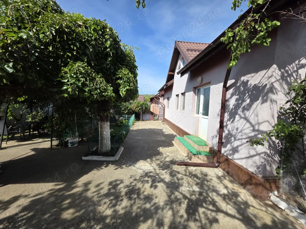 Casa 127 mp + teren 1800 mp, foisor si iaz - Dragasani