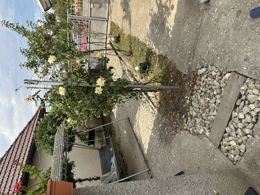 Casa de vanzare in Ciacova