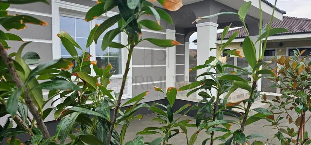 Sanmihaiul Roman- teren generos- personalizare interioara Sanmihaiul Roman- teren generos- personalizare interioara