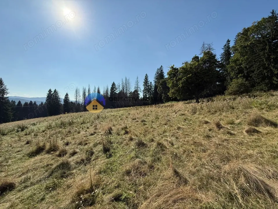 Teren de vânzare 5000 mp – Piatra Neamț