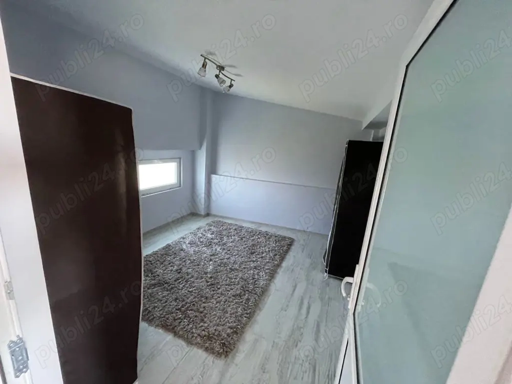 3 camere apartament la curte in Clinceni