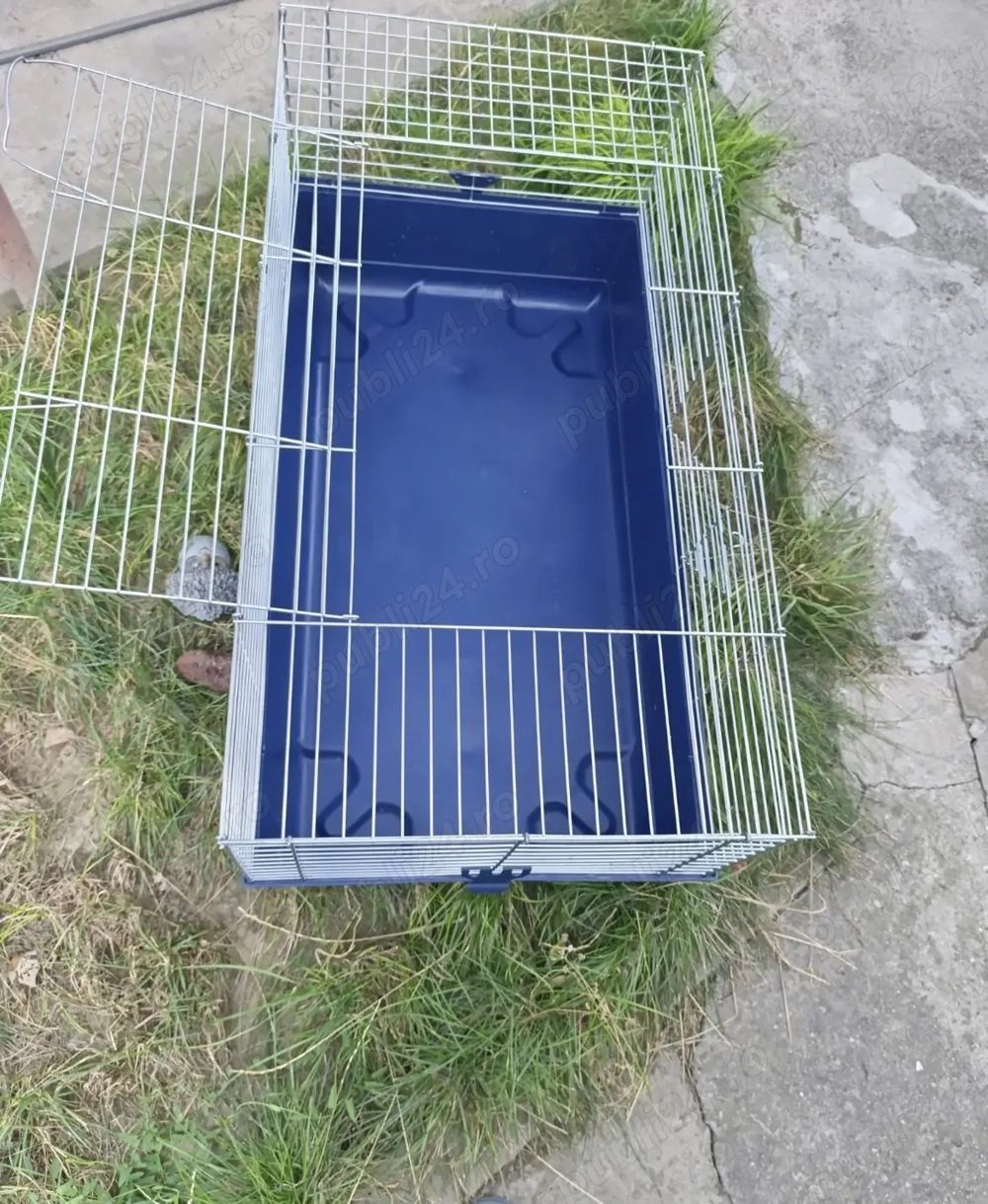 Vând cuști iepuri rozatoare