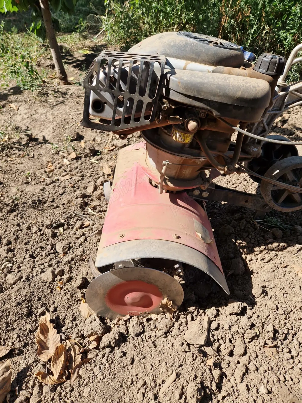 Szentkiraly Indian 55 cu Tecumseh Centura 55