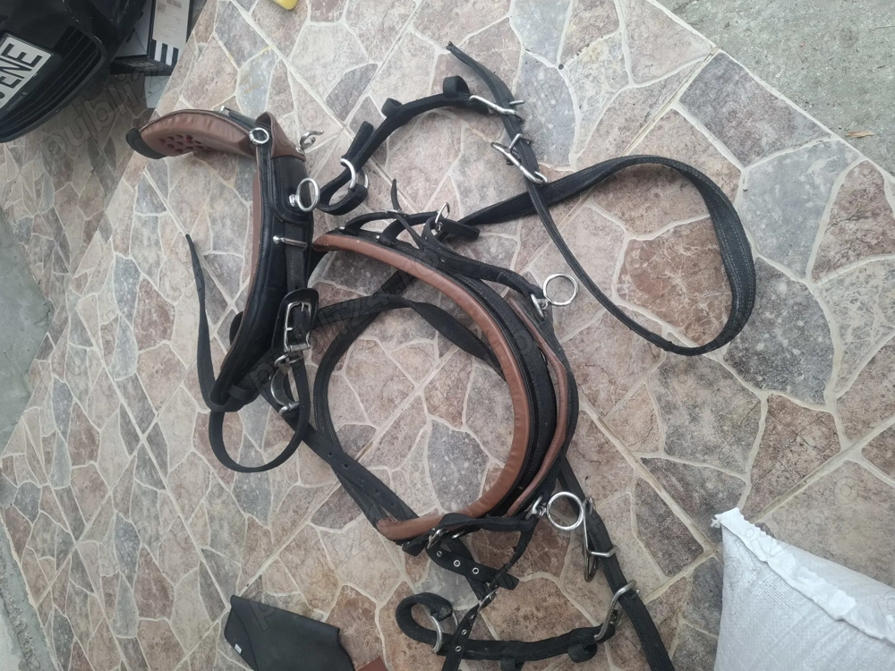 Ham trăsură Ham trăsură