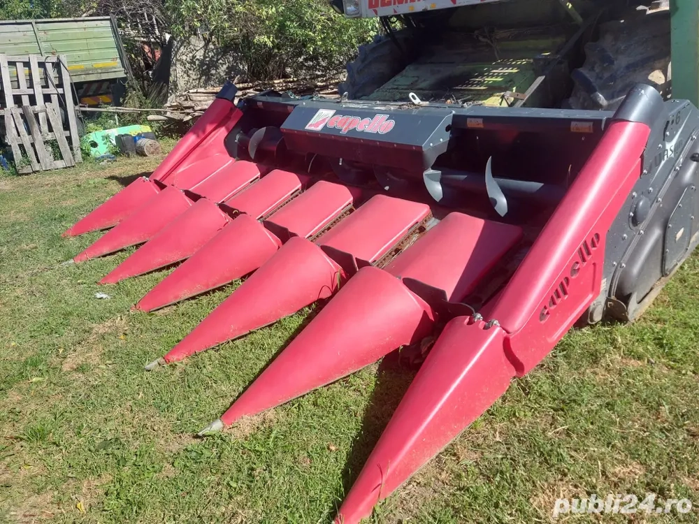 Vand Heder Porumb floare  Capello Quasar 6 an 2022