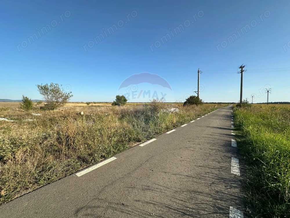 Teren extravilan de vânzare – 19.963 mp, E68 Mândruloc–Vladimirescu