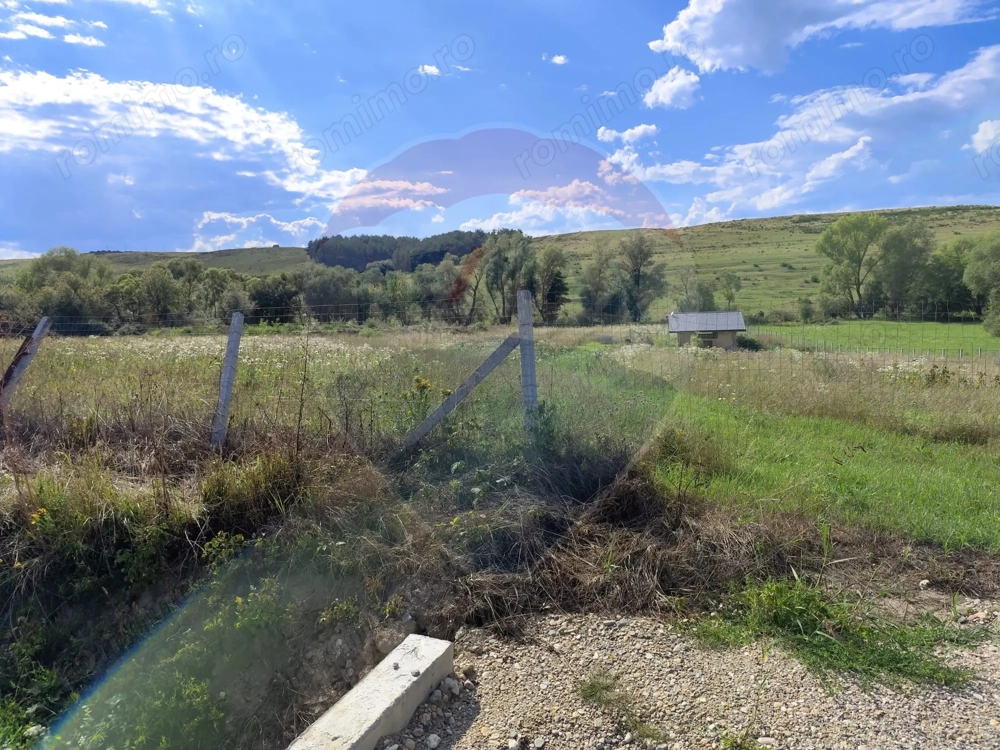 Teren intravilan Somcuta Mare!