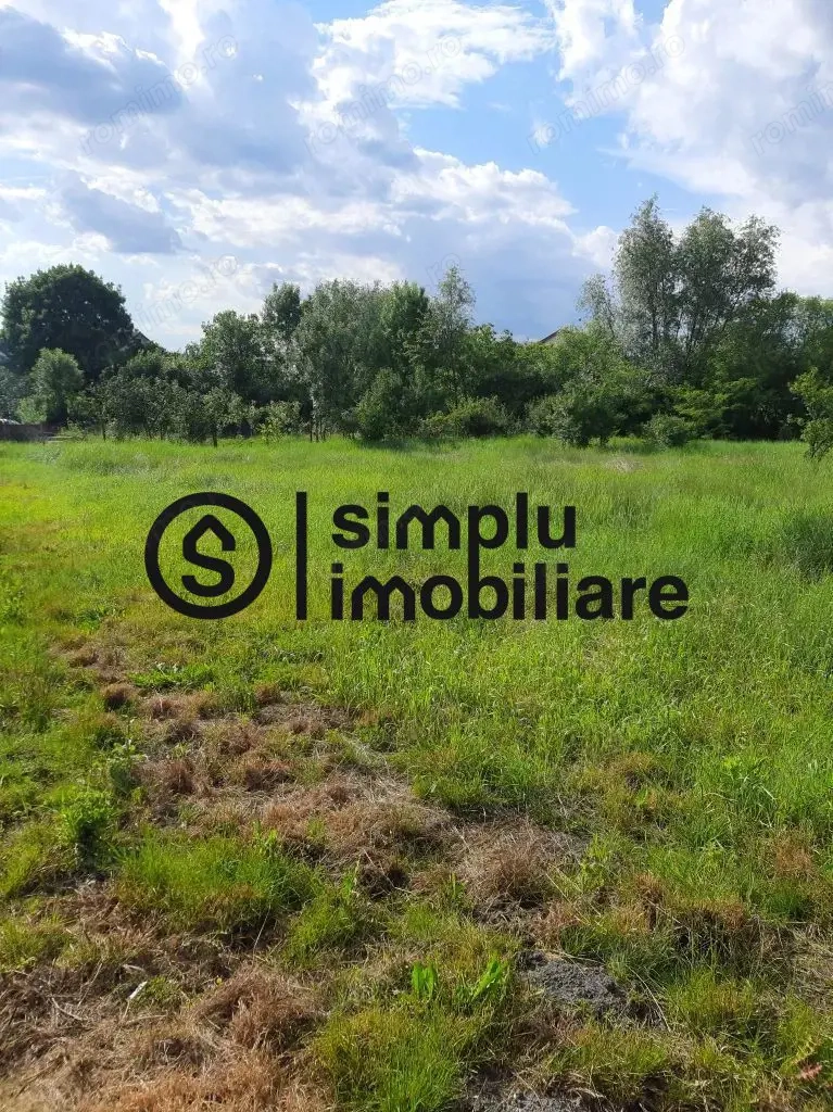 Teren intravilan, Isalnita