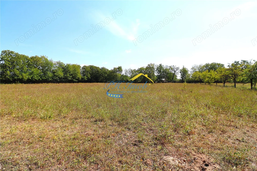 Teren intravilan de vanzare Banesti, Prahova Teren intravilan de vanzare Banesti, Prahova