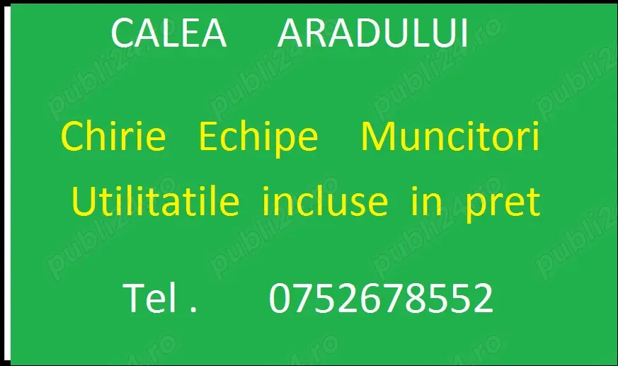 Aradului -Echipe muncitori 