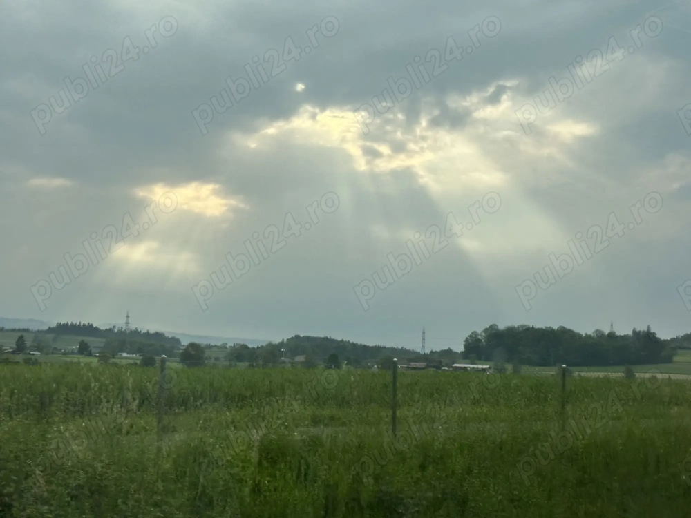 Flota noua ILFOV  8% Bolt ,uber   Flota noua ILFOV  8% Bolt ,uber