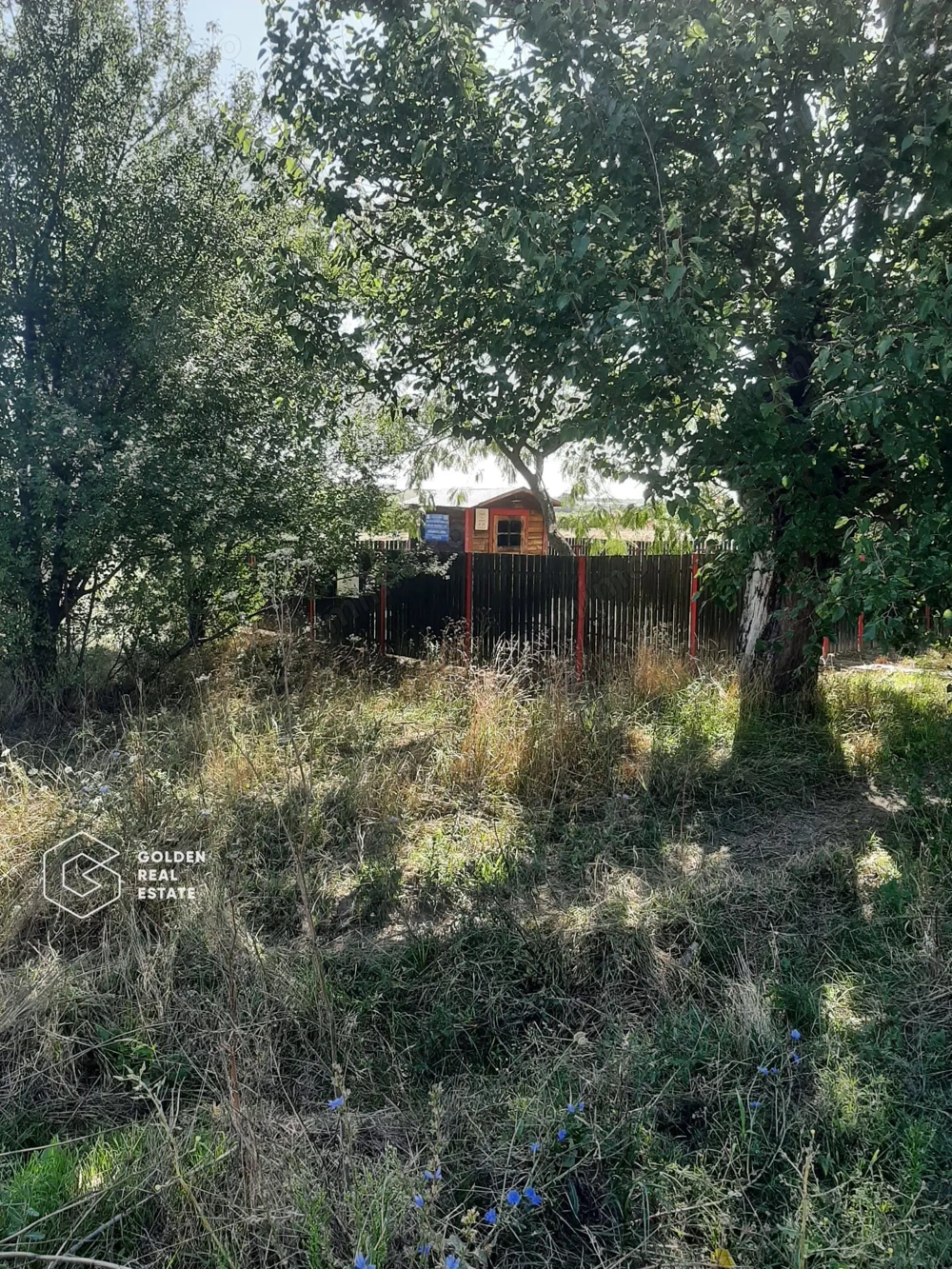 Terenuri 1300 mp, Lipova