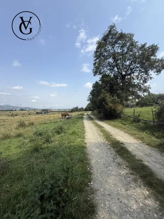 Teren intravilan 500 mp - Tohanul Nou Teren intravilan 500 mp - Tohanul Nou