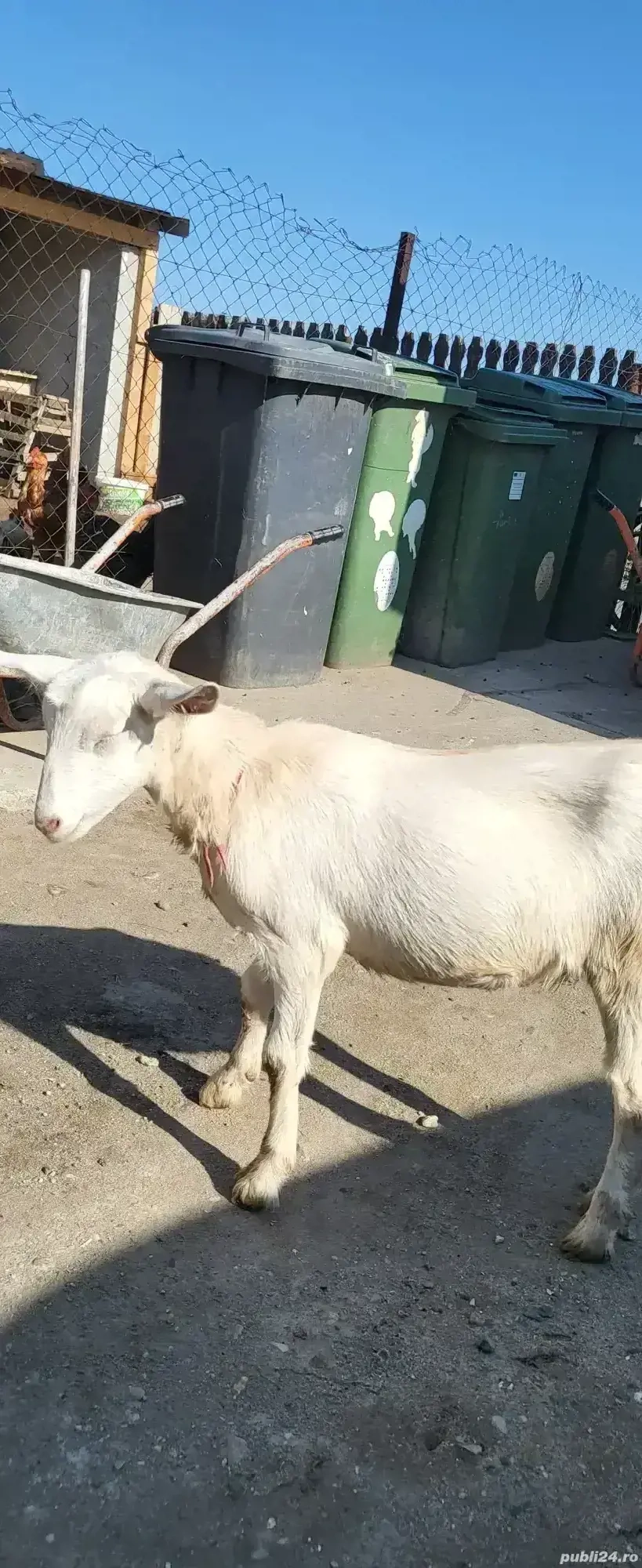 vand ieduta vand ieduta