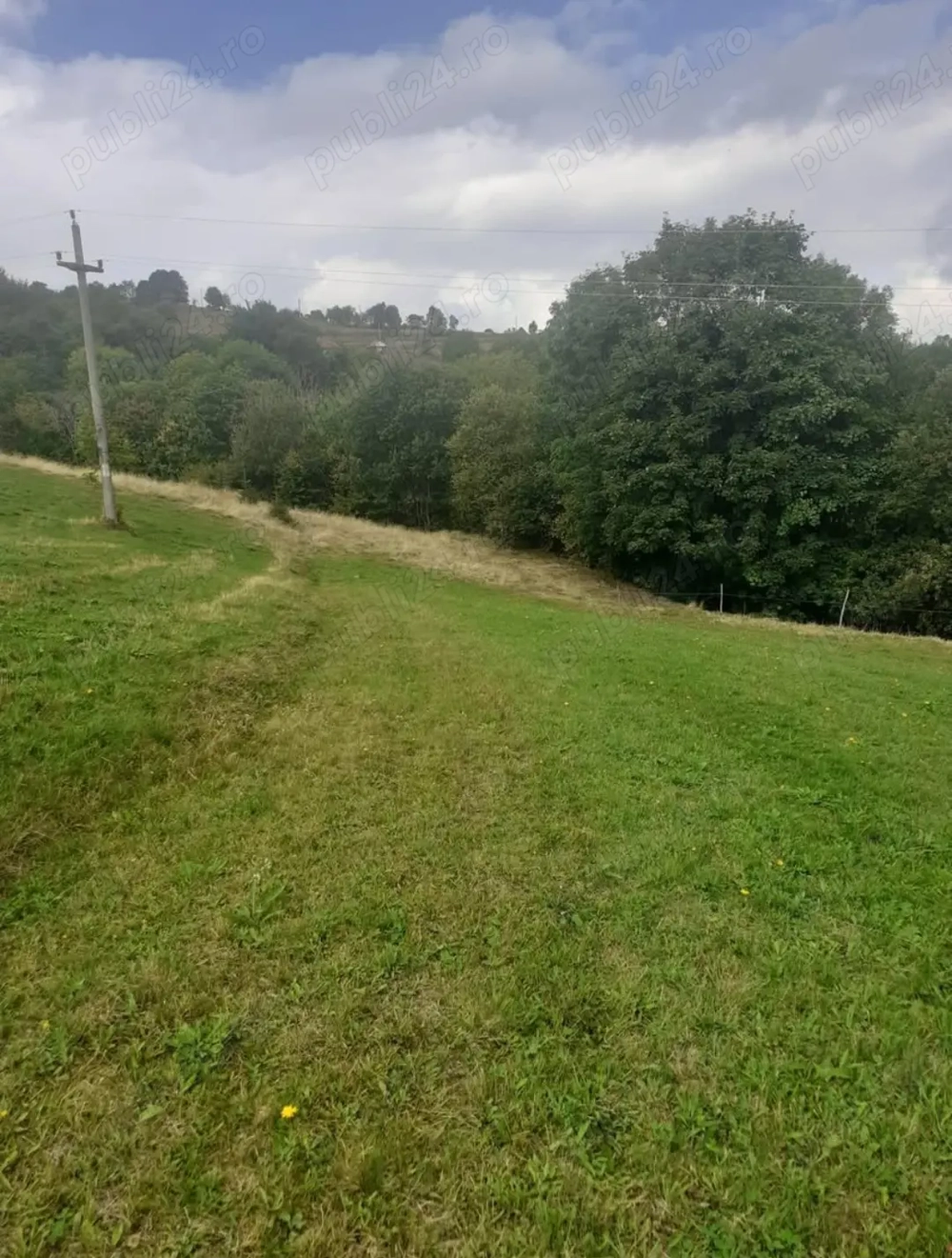Teren de vanzare,2807 mp