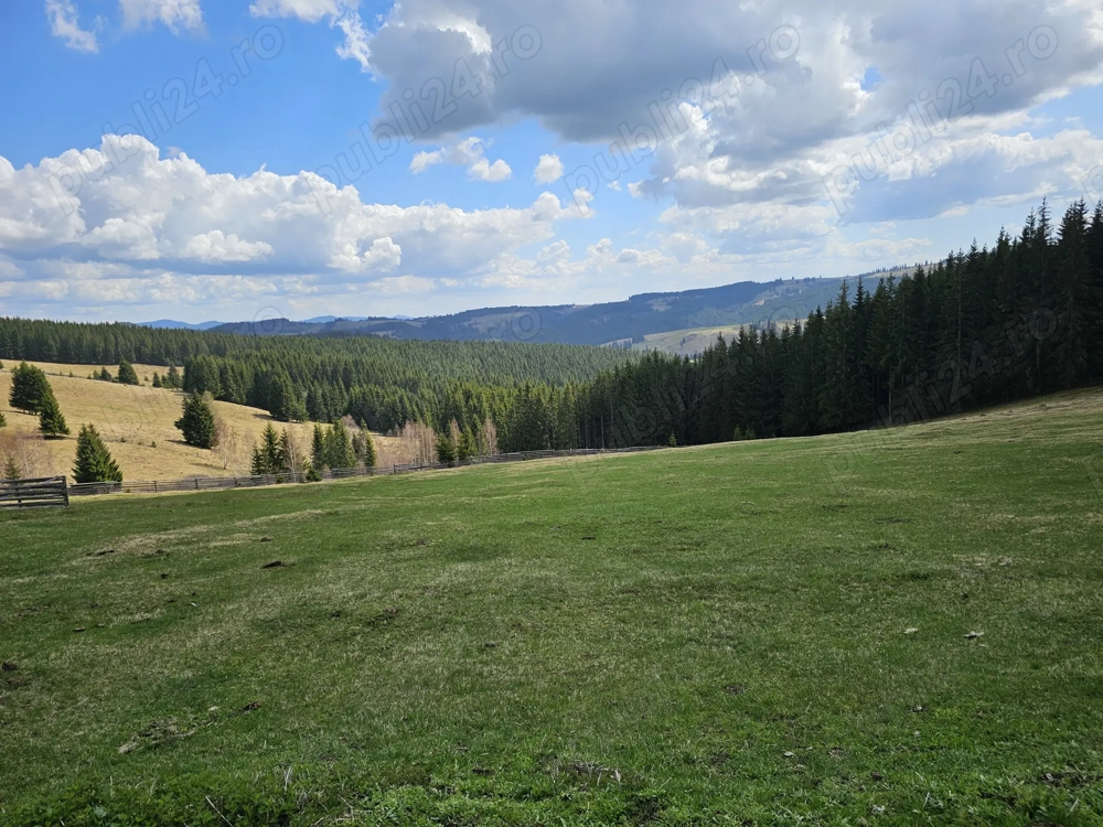 Teren de vanzare 15 hectare in Bucovina Moldova Sulita zona Lucina