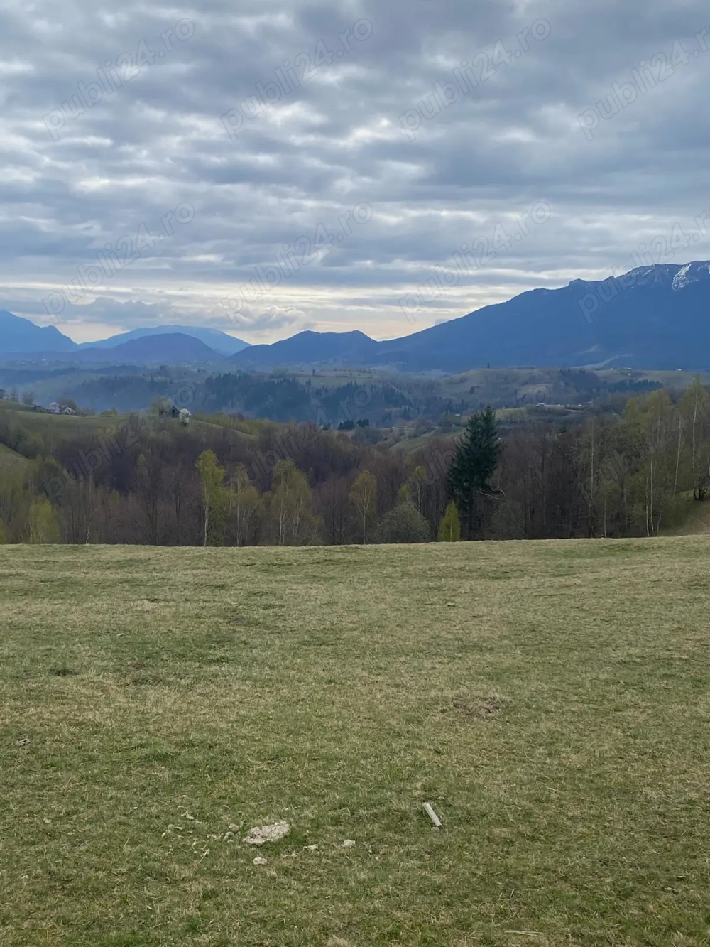 Teren de vanzare Pestera Moieciu