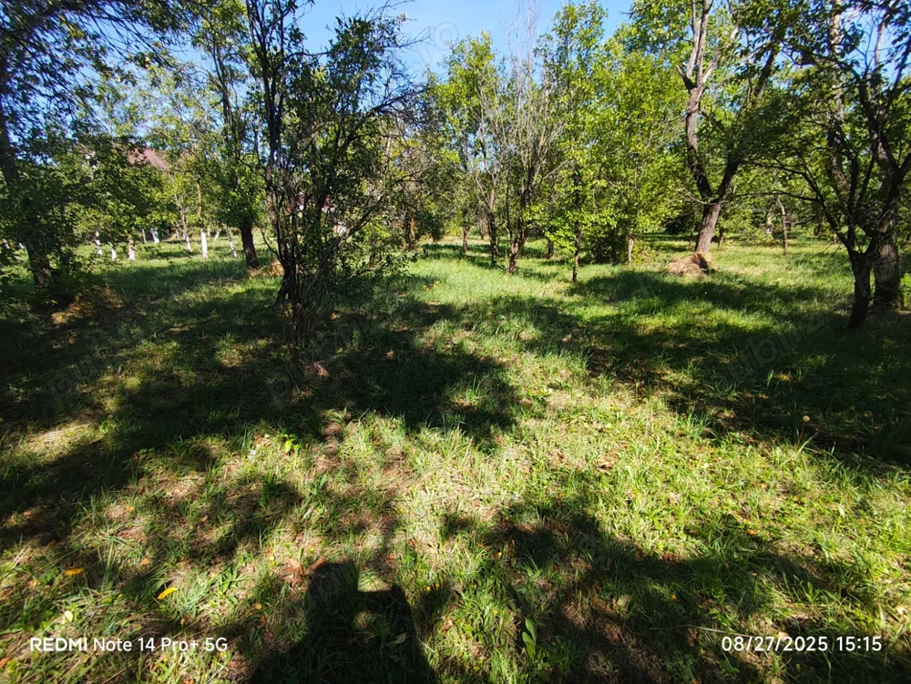 Teren intravilan Cornu de Jos 