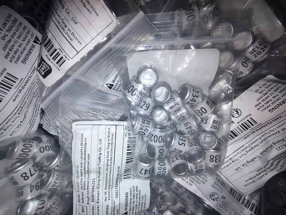 Inele porumbei 2026 Inele porumbei 2026