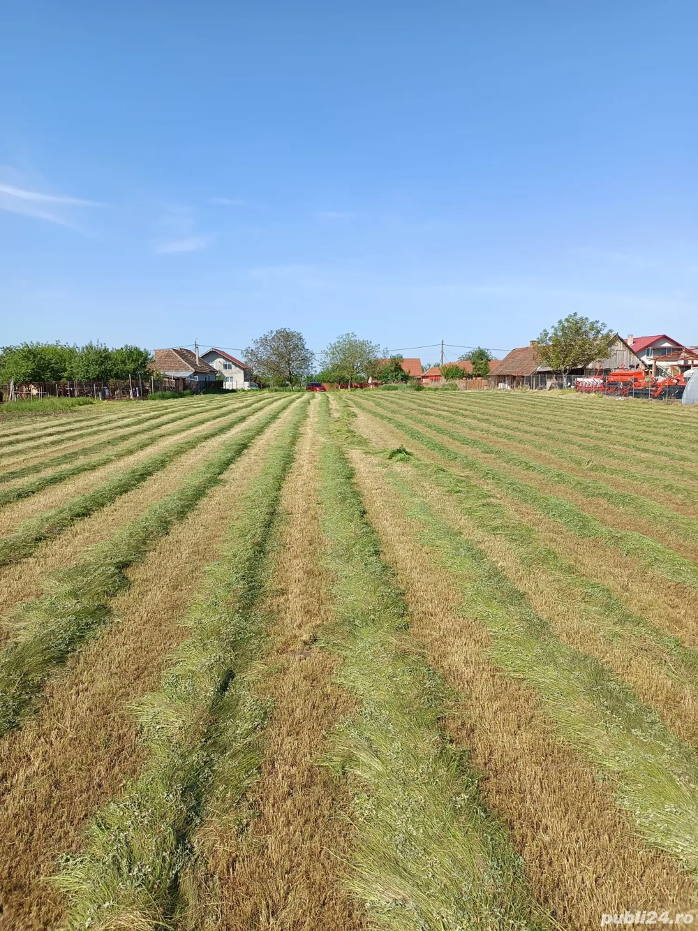 Teren intravilan Hodoni