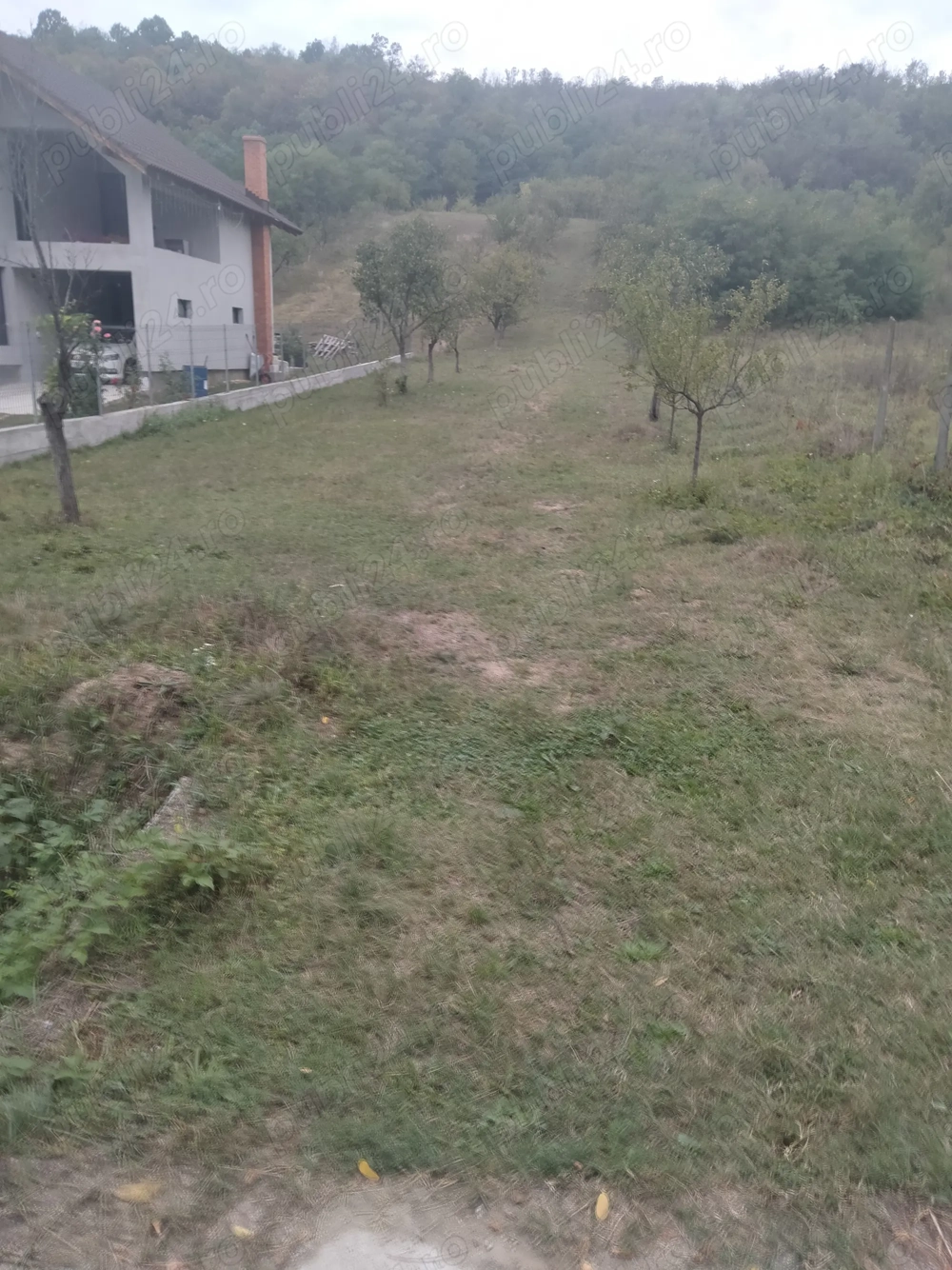 Teren de vânzare 