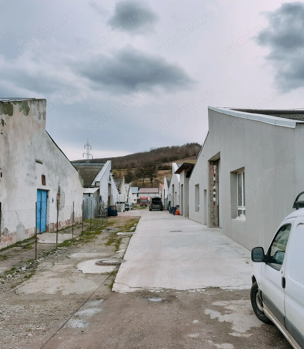 Hala productie de vanzare