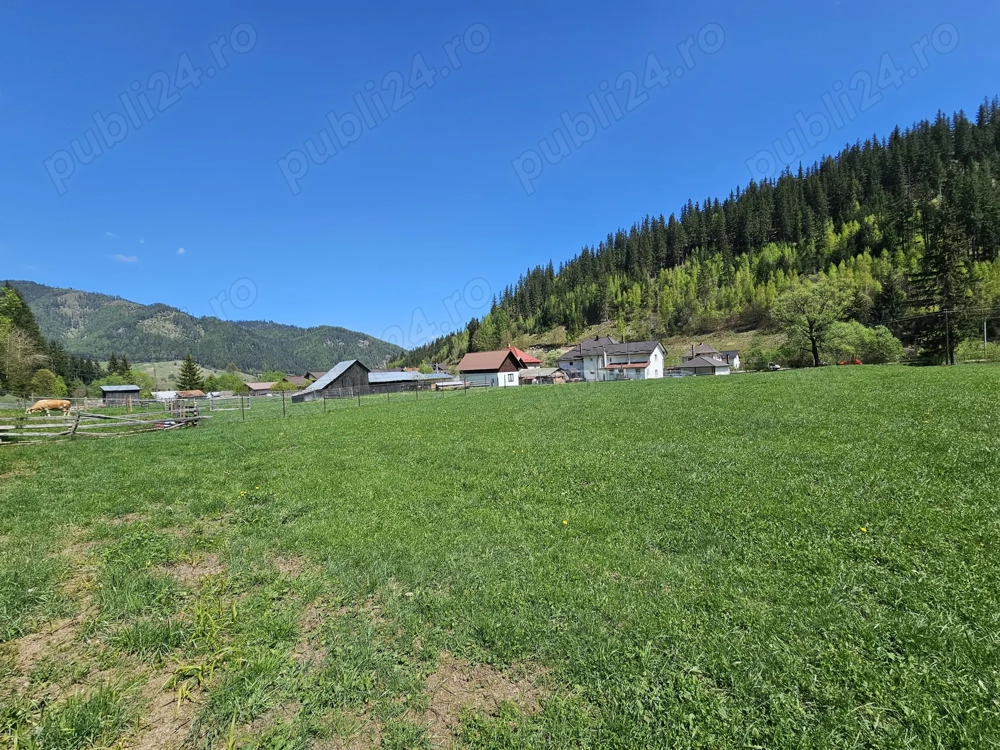 Teren de vanzare in Bucovina zona Pojorata pe Transrarau