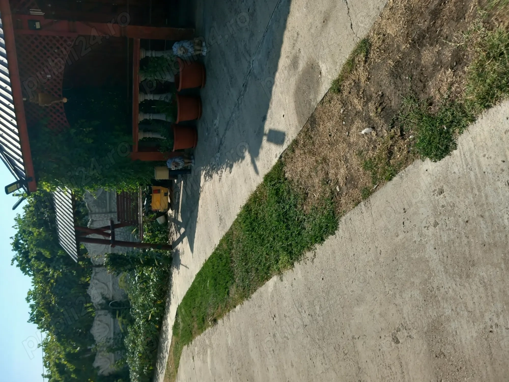Casă la tara în Bucinisu 